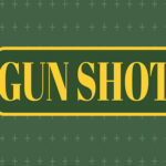 Gun Shoot HD